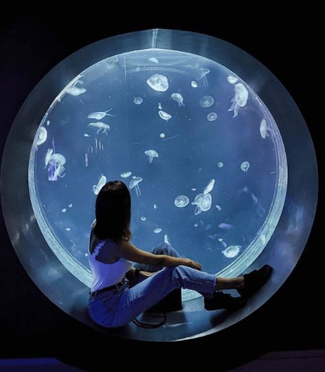 We can create for you custom made circle shaped jellyfish aquarium. Size is not limited. Please contact us for more details. Jelly Fish Aquarium Home, Aquarium In House, Aquarium Bedroom, Circle Things, Hawaiian Bedroom, Pet Jellyfish, Jellyfish Tank, Jellyfish Aquarium, Aquarium Wedding