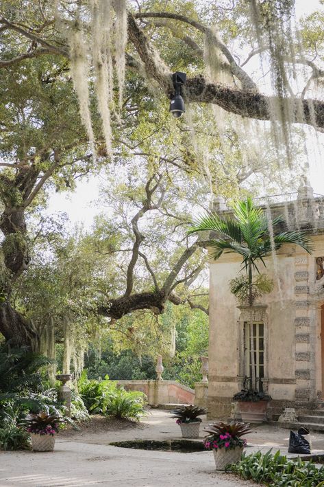 Exploring Vizcaya Museum & Gardens – Storied and Styled Miami Birthday, Vizcaya Wedding, Vizcaya Museum And Gardens, Miami Trip, Vizcaya Museum, Museum Photography, Birthday Trip, Historical Landmarks, Still In Love