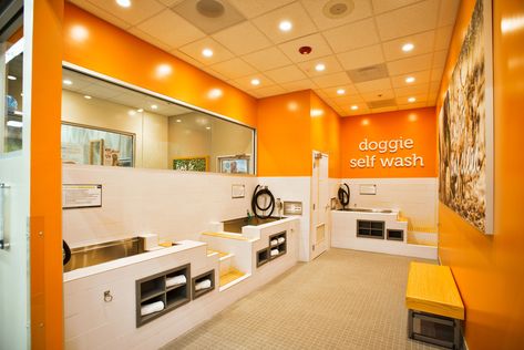 Self-Serve Dog Wash Stations | Petco Diy Dog Wash, Pet Grooming Salon, Dog Grooming Shop, Dog Spa, Dog Washing Station, Cat Hotel, Dog Grooming Salons, Pet Spa, Dog Salon