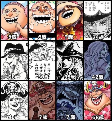 One Piece Charlotte Linlin, One Piece Berries, Kaido And Big Mom, Big Mom One Piece, Luffy's Mom, Crew Aesthetic, Charlotte Linlin, Night Peace, Pokémon Drawing