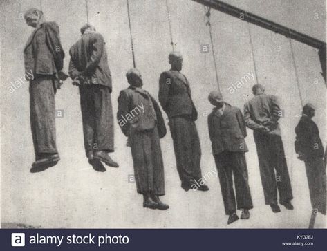 Download this stock image: Public execution near Płaszów-Prokocim train station in occupied Kraków - KYG7EJ from Alamy's library of millions of high resolution stock photos, illustrations and vectors. Public Execution, Public Domain Images, Krakow, Short Story, Train Station, Photo Image, High Resolution, Stock Images, Historical Figures