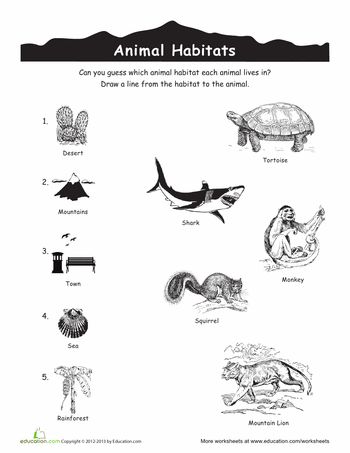 Use with week 1 Biomes.  Worksheets: Animal Habitats Match-Up Biome Activities, Animal Life Cycles, Kindergarten Worksheets Free Printables, Outdoor Education, Animal Science, Kindergarten Science, Animal Habitats, Science Worksheets, Biome