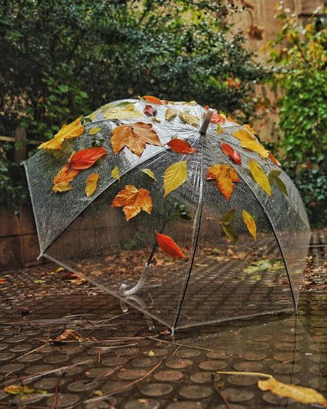 Rain And Coffee, Clothing Pattern Design, Autumn Rain, Rainy Days, Fall Vibes, Pretty Wallpapers, Post On Instagram, Beautiful Nature, Umbrella