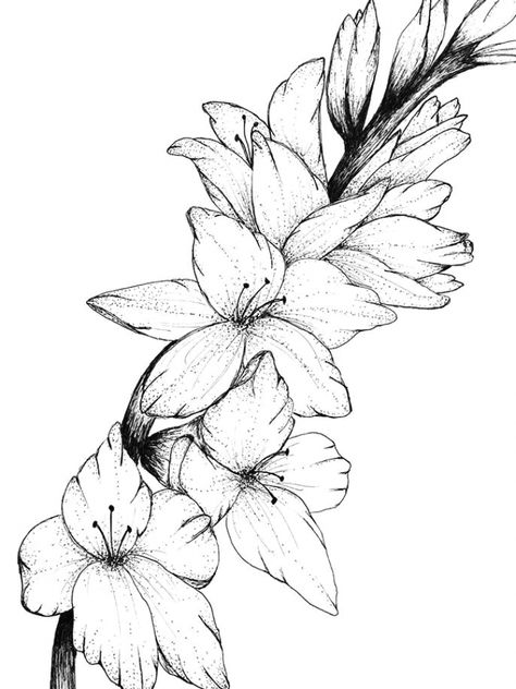 Gladiolus Flower Tattoo, Gladiolus Flower Tattoos, Wildflowers Tattoo, Larkspur Tattoo, Gladiolus Tattoo, Super Tattoo, Flower Tattoo Drawings, Gladiolus Flower, Flower Line Drawings