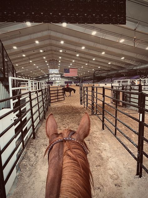 Barrel Racing Aesthetic, Barrel Racing Photos, Roping Horse, Rodeo Time, Rodeo Cowboys, Useful Gifts, Barrel Racing Horses, Rodeo Cowgirl, Rodeo Horses