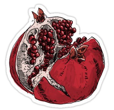 Hades Und Persephone, Pomegranate Drawing, Pomegranate Tattoo, Ephemeral Tattoo, Pomegranate Art, Drawing Sticker, Hades And Persephone, When You Leave, Stickers For Sale