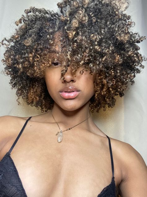 Brown Highlights Black Women Natural Hair, Highlights 4b Natural Hair, Highlights In Afro Hair, Curly Fro Highlights, Hair Color For Black Natural Hair, Highlighted Afro Hair, Short Natural Hair Highlights, Pintura Highlights Natural Hair, Black Women With Brown Hair Color