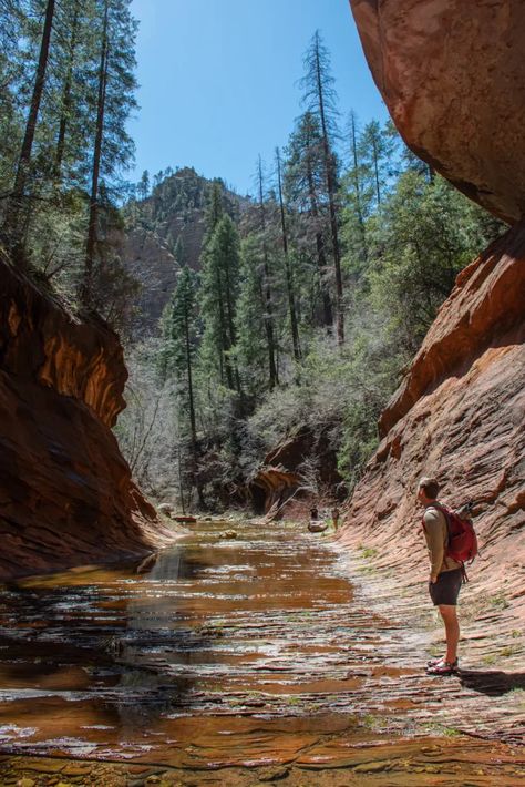 Sedona Hikes, Angels Landing, Hiking Destinations, Sedona Arizona, Instagram Inspo, The Trail, Sedona, Arizona, Road Trip