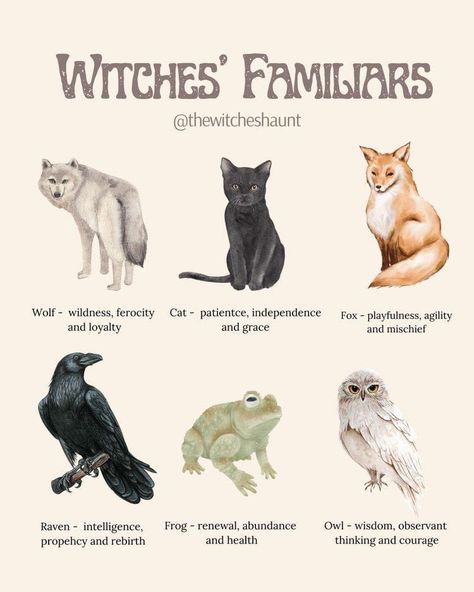 Witch Craft Books, Witchy Arts And Crafts, Witch Things To Do, Familiars Witch Animal, Witch Familiar Animals, Witchy Things To Do, Modern Witch Art, Cute Witch Aesthetic, Witch And Familiar