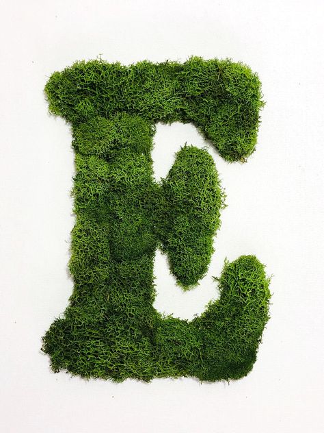 Letters designed with preserved moss are ideal to decorate any space. It is a design to place on the wall. Each letter contains a support on the back to be able to place it with a nail on the wall. The letters are extremely light, they do not weigh. It does not require maintenance. Moss letters do not bring the nails. We design all the letters, realizing the name chosen by the client, each letter has a value of $ 30. For more information contact us at info@carlosmarindesigner.com to make your bu Moss Logo Design, Plant Lettering, Plant Typography, Preserved Roses Arrangement, Moss Logo, Nature Letters, Moss Letters, Room Signage, Moss Plant