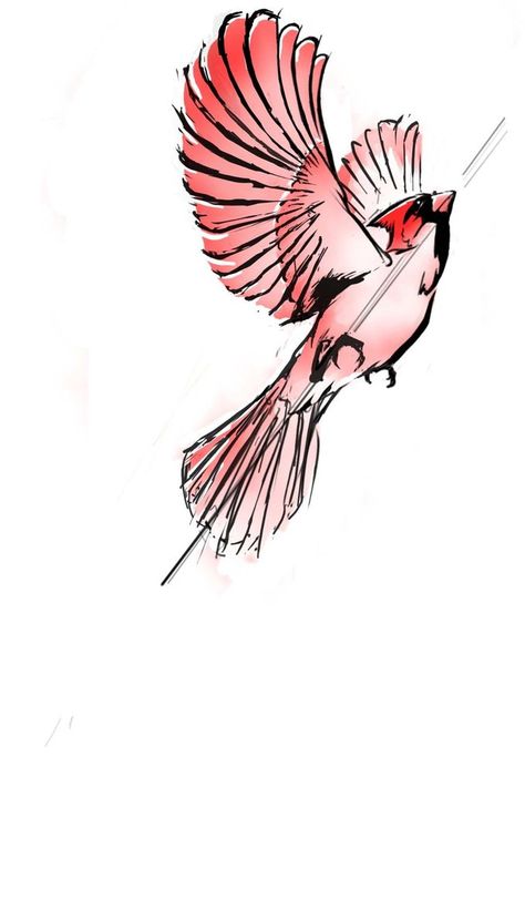 Cardinal Flying Tattoo, Cardinal Drawings, Flying Cardinal Tattoo, Cardinal Bird Tattoos, Red Cardinal Tattoos, Cardinal Drawing, Red Bird Tattoos, Cardinal Tattoo, Cardinal Tattoos