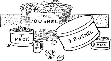 Dry Measures Bushel And A Peck Tattoo, Measurement Third Grade, A Bushel And A Peck, Bushel And A Peck, P Tattoo, Real Tattoo, Body Mods, Easy Projects, I Said