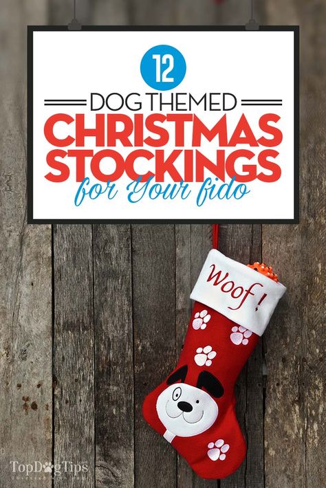 Looking for an inexpensive and easy way to treat your dog for the holidays? A dog Christmas stocking is the perfect way to do so! They offer a variety of gifts in one cute package. Plus, they'll make your pup SO happy! #christmas #stockings #dogs #presents #gift #pets #dog #holidays Diy Pet Stocking, Diy Dog Christmas Stocking, Dog Stockings Christmas, Christmas Stockings For Dogs, Stocking Template, Christmas Stockings Sewing, Bear Puppy, Christmas Dog Outfits, Stocking Ideas