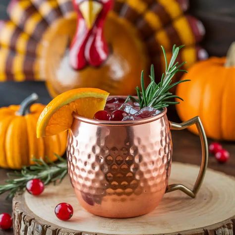 Ginger Cranberry Mule Mocktail Cranberry Mule Mocktail, Mule Mocktails, Thanksgiving Mocktails, Cranberry Mule, Ginger Mule, Cranberry Mocktail, Cranberry Fizz, Mule Recipe, Spiced Apple Cider