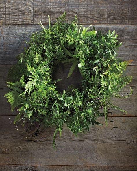 Fern Wreath Fern Wreath, Clover Wreath, Martha Stewart Holiday, Indoor Ferns, Living Wreath, Moss Wreath, Diy Spring Wreath, Whimsical Wreaths, Rattan Outdoor