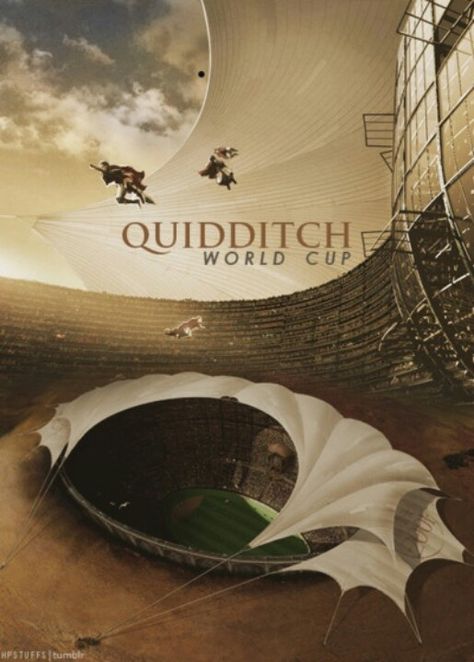 Quidditch World Cup, Imprimibles Harry Potter, Always Harry Potter, Anniversaire Harry Potter, Yer A Wizard Harry, Goblet Of Fire, Harry James, Lord Voldemort, Albus Dumbledore