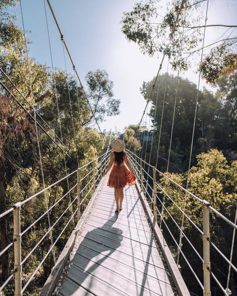 Looking for the best photo spots around San Diego? Here I cover the 49 most Instagrammable places in San Diego! Whether you're looking for pretty cafes in San Diego, the San Diego flower fields, or just things to do in San Diego, you'll find it all here! From gorgeous San Diego nature spots and views to the prettiest restaurants and murals in San Diego, you won't want to miss these! Add them to your San Diego itinerary for a trip to remember! San Diego Itinerary, San Diego Hiking, Carlsbad Flower Fields, Downtown Photography, San Diego City, San Diego Vacation, Old Town San Diego, Hotel Del Coronado, San Diego Travel