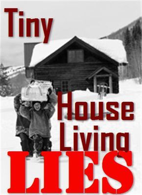 Tiny House Living Lies: Why Don't Tell Us the Cons as Well as Pros of Living in a Tiny House? Shed Designs, Mobile House, Build Your Own Shed, Small Tiny House, Tiny House Nation, Shed Plan, Micro House, The Shed, Tiny Spaces