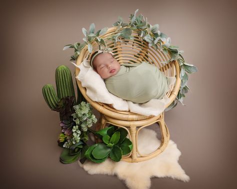 Earth Day Baby Photoshoot, Newborn Jungle Photoshoot, Greenhouse Newborn Session, Boho Newborn Photography Basket, Newborn Photography Dried Flowers, Newborn Photography Poses, Baby Boy Photography, Photoshoot Props, Boho Theme