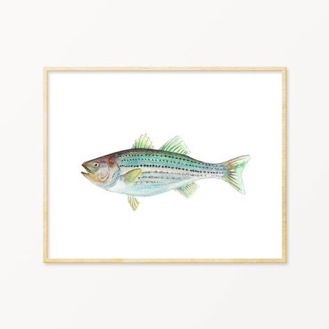 Bass Watercolor, Bass Painting, Striped Bass, Watercolor Card, Watercolor Ideas, Lake House Decor, Coastal Wall Art, Fish Art, Watercolor Art Prints