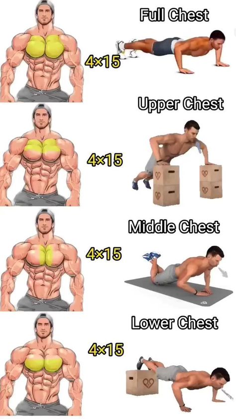 Exercises For Chest, Chest Workout At Home, House Gym, Gym Workout Guide, Latihan Dada, Gym Workout Planner, Bodybuilding Workout Plan, Gym At Home, Gym Workout Chart