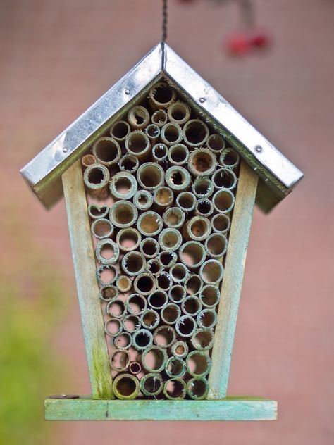 hotel para abejas pequeño Bee Friendly Garden, Stone Wall Design, Solitary Bees, Mason Bees, Bug Hotel, Butterfly Houses, Insect Hotel, Bee House, Bee Boxes