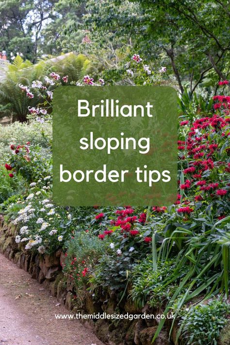 Effective sloping garden ideas Sloping Border Ideas, Sloping Garden Border Ideas, Small Sloped Garden Ideas, Planting On A Slope, Hillside Planting, Sloping Garden Ideas, Steep Hillside Landscaping, Sloping Gardens, Gardening On A Slope