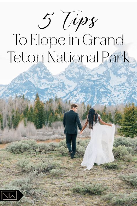 So, you've made the decision to elope! I'm guessing you've never done this before, so here are some tips to help you get started planning your dream elopement in Grand Teton National Park! From choosing your perfect location, to obtaining permits you might need, this short sweet guide should help you get a confident start! Outdoor Elopement, National Park Wedding, May Weddings, Engagement Photo Poses, Outdoor Wedding Decorations, Rustic Country Wedding, Ceremony Location, Wedding With Kids, Jackson Hole