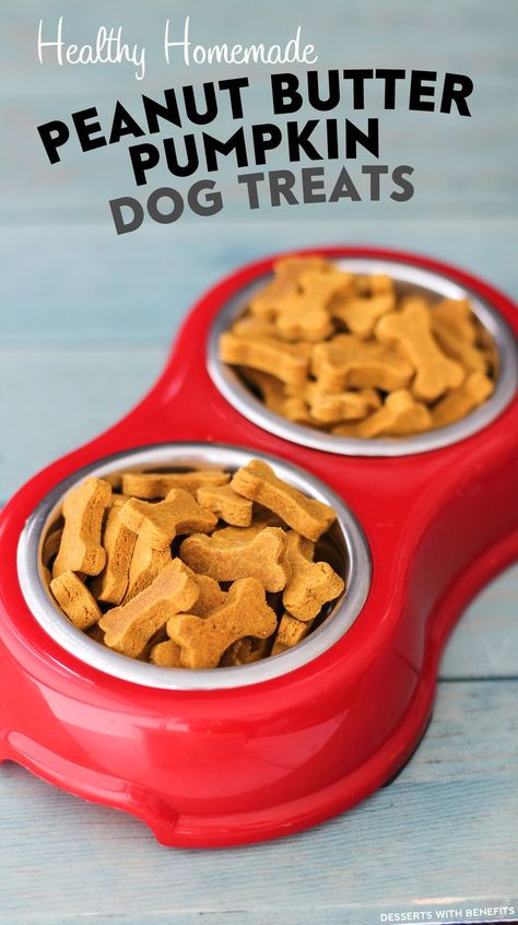 Healthy Homemade Peanut Butter Pumpkin Dog Treats recipe! Your pup will go CRAZY for these! (sugar free, gluten free, dairy free, eggless, vegan) Healthy Homemade Peanut Butter, Peanut Butter Pumpkin Dog Treats, Weight Watcher Desserts, Dog Pumpkin, Peanut Butter Dog Treats, Peanut Butter Pumpkin, Pumpkin Dog Treats, Healthy Vegan Desserts, Diy Dog Treats