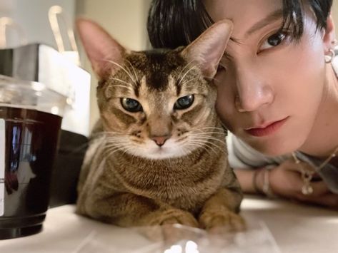 Men With Cats, Ten Chittaphon, Nct Ten, K Idols, Nct 127, Shinee, A Cat, Nct Dream, Nct