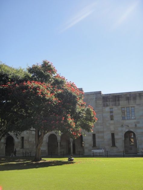 University of Queensland, Australia University Of Queensland Aesthetic, University Of Queensland, Uni Life, Open Arms, School Aesthetic, Queensland Australia, Great Barrier Reef, 2024 Vision, St Lucia