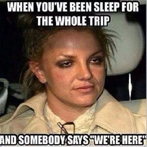 60 DANK MEMES FOR TODAY #863 Road Trip Meme, Vacation Meme, Funny Photo Captions, Funny Instagram Posts, Funny Pictures With Captions, Travel Humor, Work Memes, Picture Captions, Funny Fails