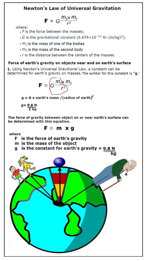 Newton Studies the Force of Gravity — Homeschool Science for Kids Newton Gravity, Gravitational Force, Writing Fractions, Physics Problems, Earth Gravity, Dimensional Analysis, Conversion Factors, Newtons Laws, Surface Tension