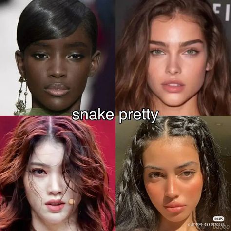 Snake Pretty Face Type, Fish Beauty Face Type, Animal Pretty Face Types, Animal Face Type, Beauty Types, Villain Design, 2000s Makeup Looks, Types Of Beauty, Harajuku Hair