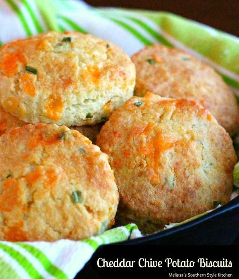 Cheddar Chive Potato Biscuits / https://www.melissassouthernstylekitchen.com Banana Pudding Cream Cheese, Jalapeno Cheddar Biscuits, Southern Style Kitchen, Potato Biscuits, Cream Biscuits, Cheddar Biscuits, Jalapeno Cheddar, Cooking Bread, Biscuit Rolls