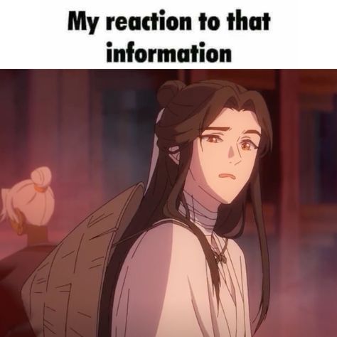 Tgcf Reaction Memes, Heaven's Official Blessing Header, Human Face Disease Tgcf, Keep Yourself Safe Reaction Pic, Xie Lian Funny, Heaven's Official Blessing Memes, Tangled Series, Silly Cats Pictures, Stray Dogs Anime