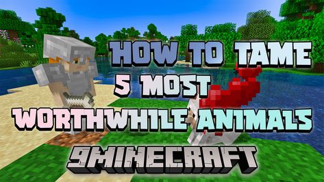 Minecraft Biome, Tame Animals, Witch Hut, Playing Minecraft, Different Animals, Minecraft Tips, Wild Wolf, Loyal Dogs, How To Play Minecraft