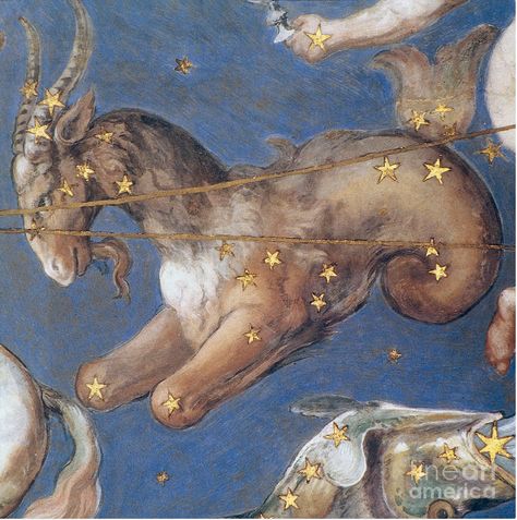 Capricorn By Granger Cardinal Signs, Capricorn Aquarius Cusp, Palazzo Farnese, Capricorn Art, Capricorn Goat, Astrology Art, Unicorn Art, Capricorn And Aquarius, Zodiac Star Signs