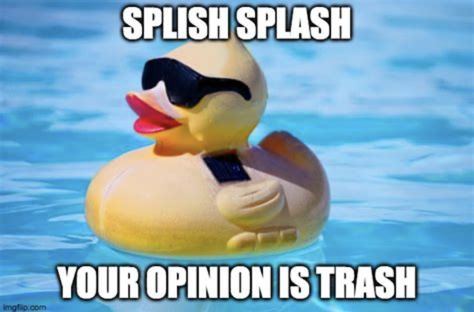 Trash Wallpaper, Trash Meme, Your Opinion Is Trash, Splish Splash, Your Opinion, Humor, Memes, Humour