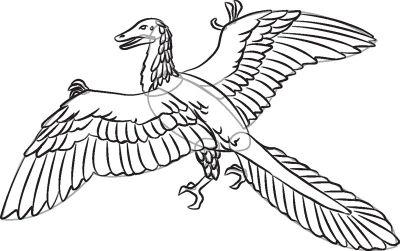 Drawing dinosaurs is easier than you might think. Have you ever wondered how to draw an Archaeopteryx? Archaeopteryx Drawing, Archaeopteryx Art, Squirrel Coloring Page, Zoo Coloring Pages, Deer Coloring Pages, Snake Coloring Pages, Bat Coloring Pages, Cow Coloring Pages, Lion Coloring Pages