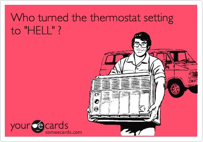 Funny Seasonal Ecard: Who turned the thermostat setting to 'HELL' ? Hate Summer, Clipuri Video, E Card, Down South, Ecards Funny, Someecards, Bones Funny, Thermostat, The Words