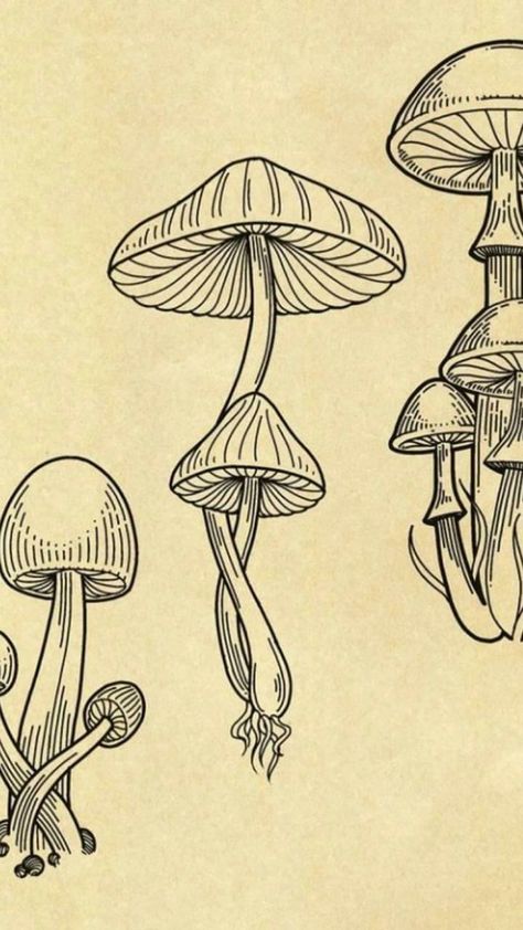 Woodcut Mushroom Tattoo, Dripping Mushroom Tattoo, Simple Mushroom Tattoo Stencil, Mushroom Gills Drawing, Mushroom Filler Tattoo, Line Work Mushroom Tattoo, Mushroom Tattoo Linework, Jonah Tattoo, Simple Mushroom Drawing