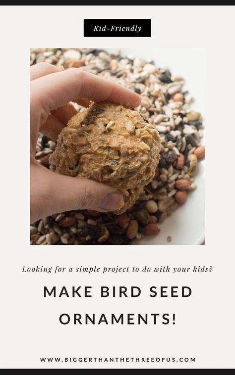 Peanut Butter Bird Seed Ornaments, Bird Seed Crafts, Bird Seed Ornaments Recipe, Seed Ornaments, Bird Suet, Bird Seed Ornaments, Bird Seed Feeders, Seed Balls, Homemade Bird Feeders