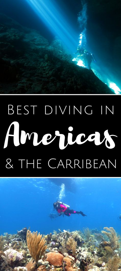 Scuba Diving Tank, Travel Colombia, Diving Tank, Channel Islands National Park, Travel America, Diving Board, Scuba Diving Gear, Best Scuba Diving, Boat Life