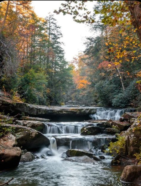 Kentucky Hiking, Kentucky Attractions, Kentucky Vacation, Kentucky Travel, Red River Gorge, Ultimate Bucket List, Waterfall Hikes, Vacation Places, Beautiful Places To Visit