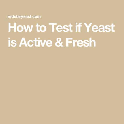 How to Test if Yeast is Active & Fresh How To Test Yeast, How To Test If Yeast Is Good, How To Proof Yeast, Red Star Yeast, Baguette Recipe, Liquid Measuring Cup, Dry Yeast, Yeast, Baking Recipes