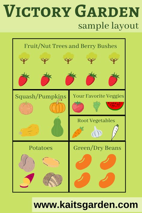 Victory Garden Layout / Survival Gardening / Garden Ideas / Gardening for Beginners / Homesteading / Becoming More Self Sufficient / Emergency Preparedness / www.kaitsgarden.com Victory Garden Layout, Victory Garden Plans, How To Store Seeds, Beginner Gardening, Garden Fruit, Coops Diy, Dry Beans, Berry Bushes, Victory Garden