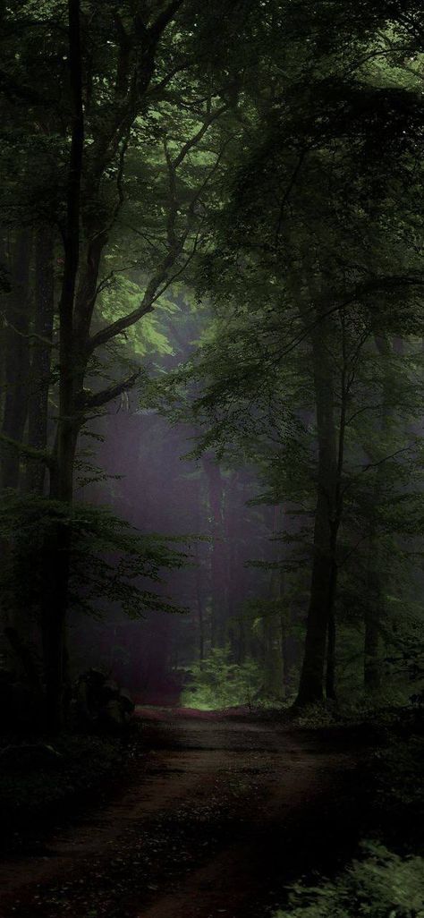 Dark Forest Aesthetic, Dark Green Wallpaper, Dark Green Aesthetic, Pretty Landscapes, Forest Wallpaper, Beautiful Dark Art, Background Pictures, Landscape Wallpaper, Nature Aesthetic