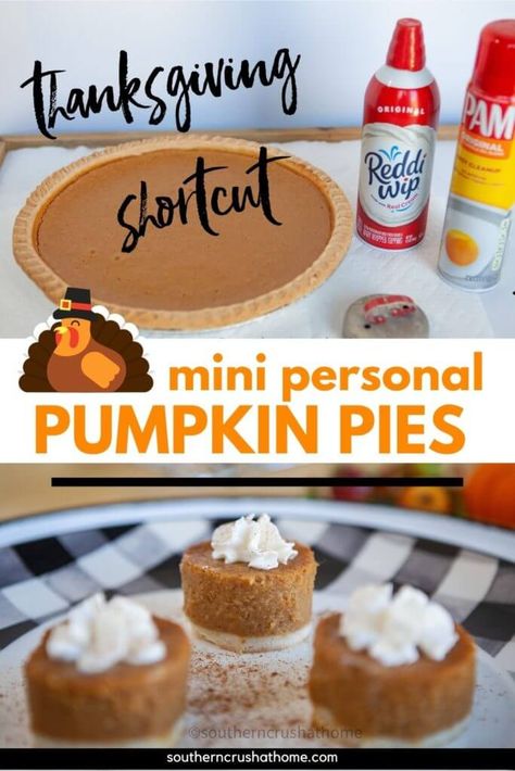 Pumpkin Pie Fluff, Mini Pumpkin Desserts, Easy Pumpkin Dump Cake Recipe, Individual Pumpkin Pie, Bite Size Pies, Easy Pumpkin Dump Cake, Fluff Dip, Pumpkin Dump Cake Recipe, Pumpkin Dump