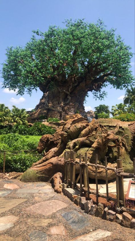 Disney World Animal Kingdom, Disney Phone Backgrounds, Disneyland Pictures, Disney Memories, Disney Orlando, Disney World Florida, Disney Instagram, Disney Dreams, Park Landscape